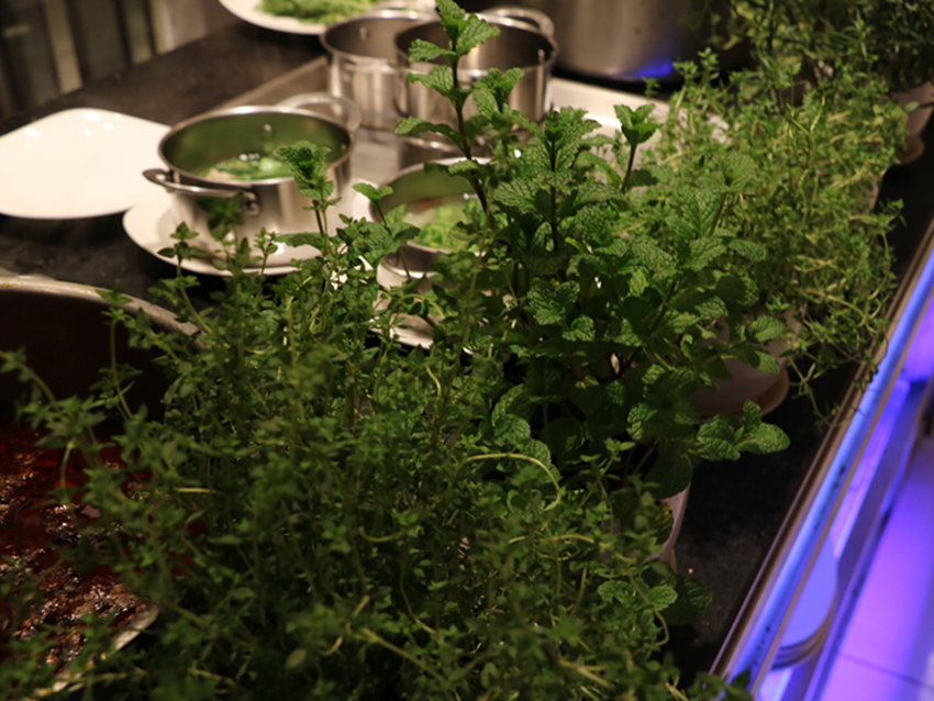 艾美酒店日餐,艾美酒店茶餐厅