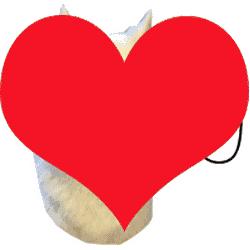 狐狸精平常表示什么,狐狸精是夸人还是骂人的