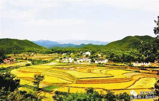 浜北鐨勯剛涓豢瀹濈煶,浜北鍥犱粈涔堣绉伴剛涓豢瀹濈煶