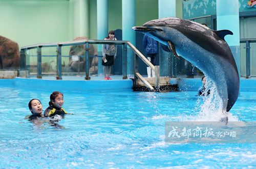 海豚自闭症儿童,自闭症儿童海豚疗法