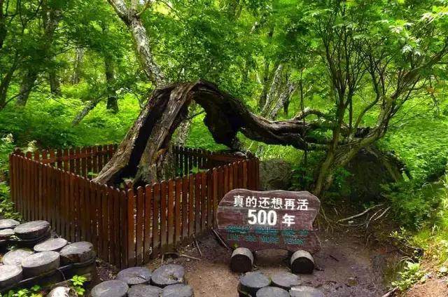 吉林泡澡的地方,吉林市哪里有泡澡的