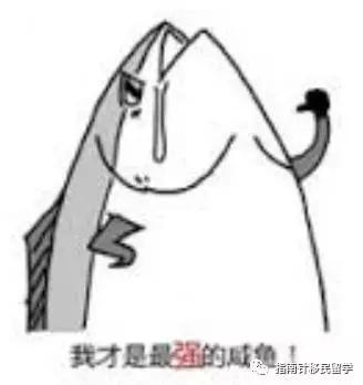 明明在澳洲吃土，你却说我是行走的RMB，留学生的钱都花哪去？