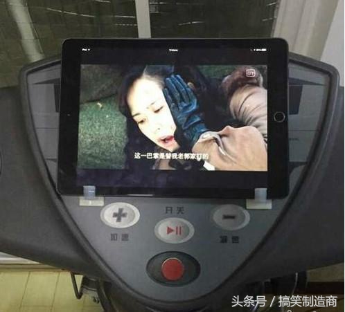 成年袋鼠打架时哪个部位支撑身体,袋鼠和袋鼠为什么喜欢打架