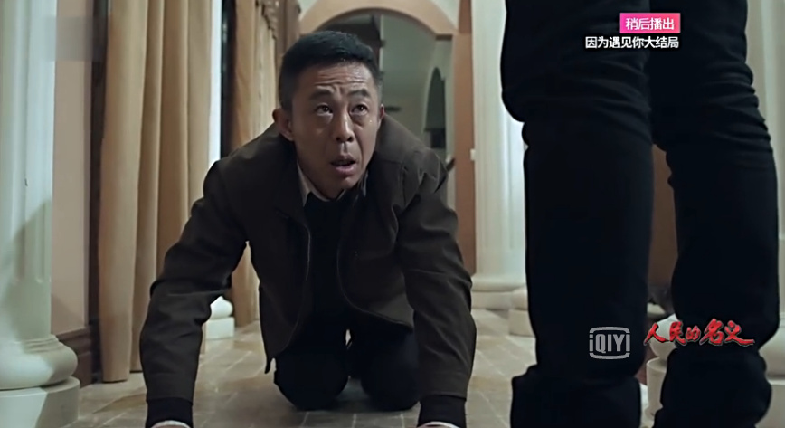 人民的名义反腐正剧,人民的名义萌化正剧