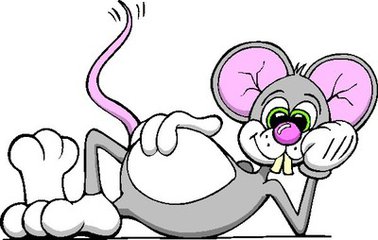 十二生肖五行相生相合,十二生肖五行哪些和哪些相生