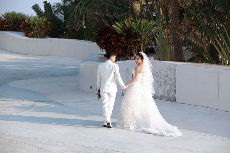 三亚凤凰岛房价,三亚凤凰岛