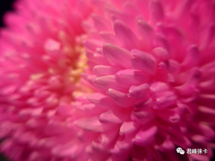 徕卡c-lux便携相机,徕卡c便携相机