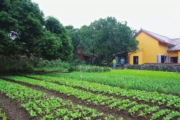 海口游玩攻略必去景点,海口旅游日常攻略大全最新