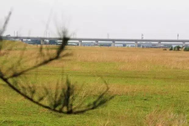 海口游玩攻略必去景点,海口旅游日常攻略大全最新