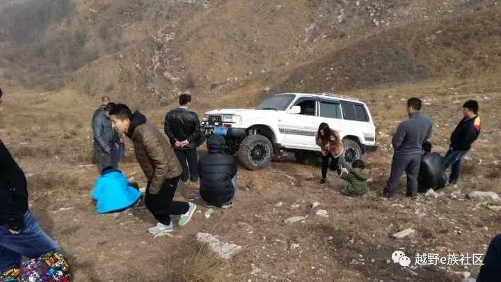 陪伴是最长情的告白——我和切诺基的故事