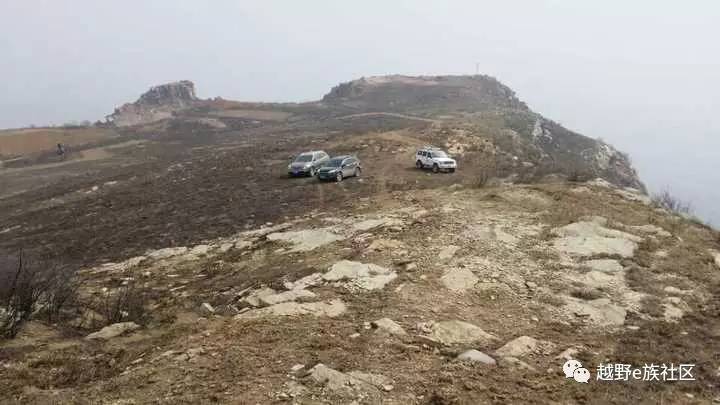 陪伴是最长情的告白——我和切诺基的故事