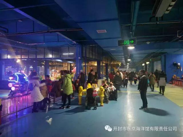 下雨适合去极地海洋世界玩吗,下雨天极地海洋世界