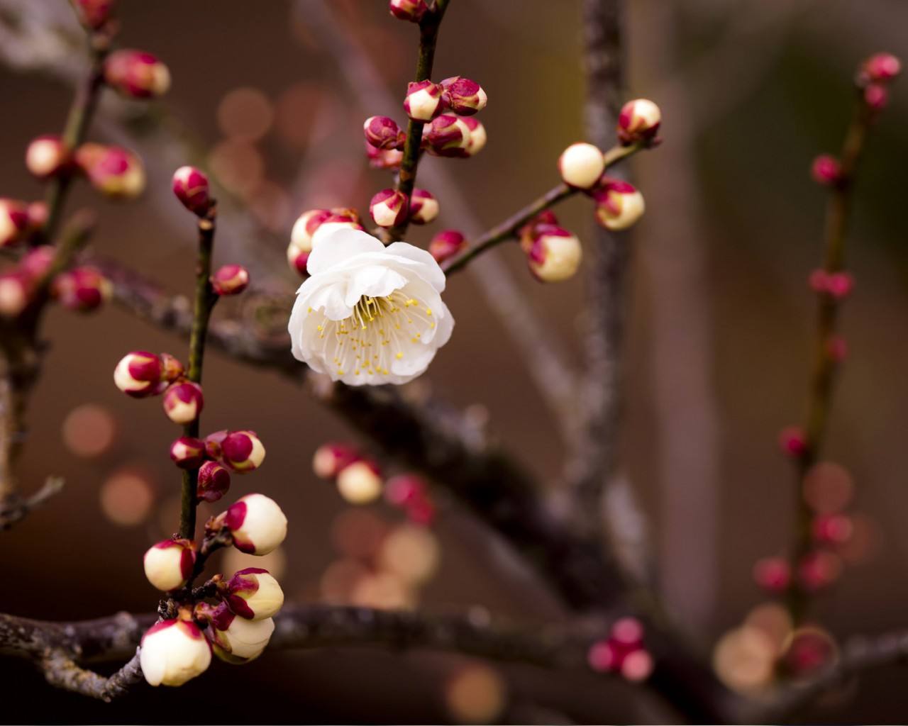 心灵休憩的驿站,老班长大锅台
