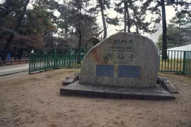 日本奈良看小鹿,日本奈良看小鹿视频