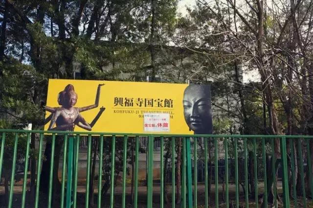 日本奈良看小鹿,日本奈良看小鹿视频