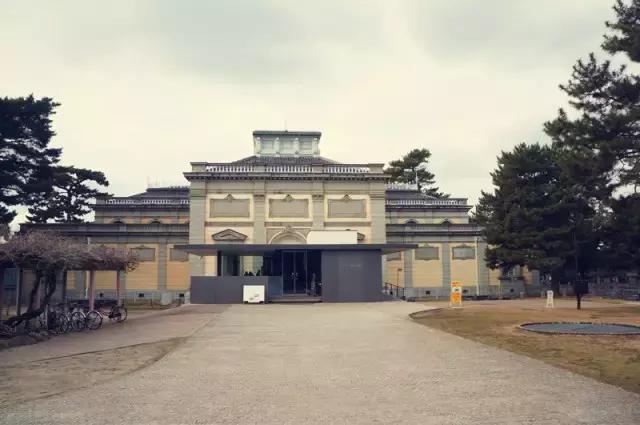 日本奈良看小鹿,日本奈良看小鹿视频