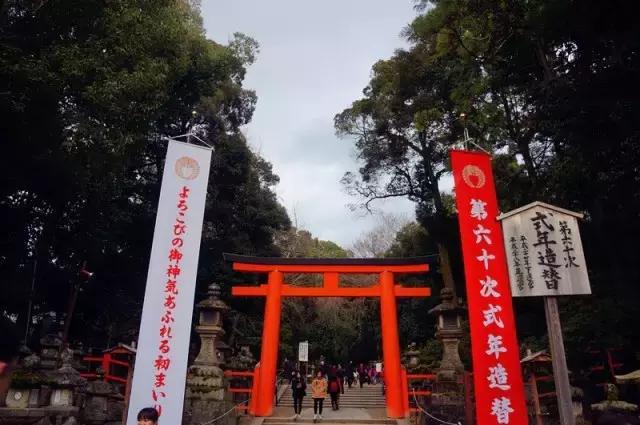 日本奈良看小鹿,日本奈良看小鹿视频