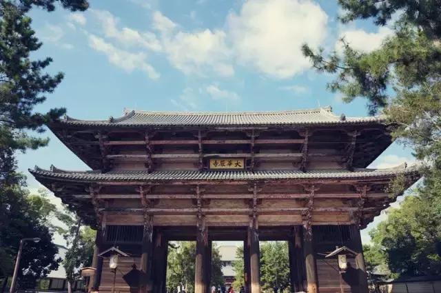 日本奈良看小鹿,日本奈良看小鹿视频