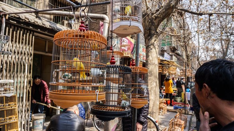 实拍：西安市井的味道