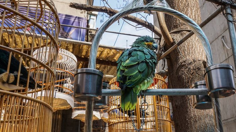 实拍：西安市井的味道