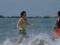 我们平时吃的芥末是真的芥末吗,我们吃的芥末为什么是假的