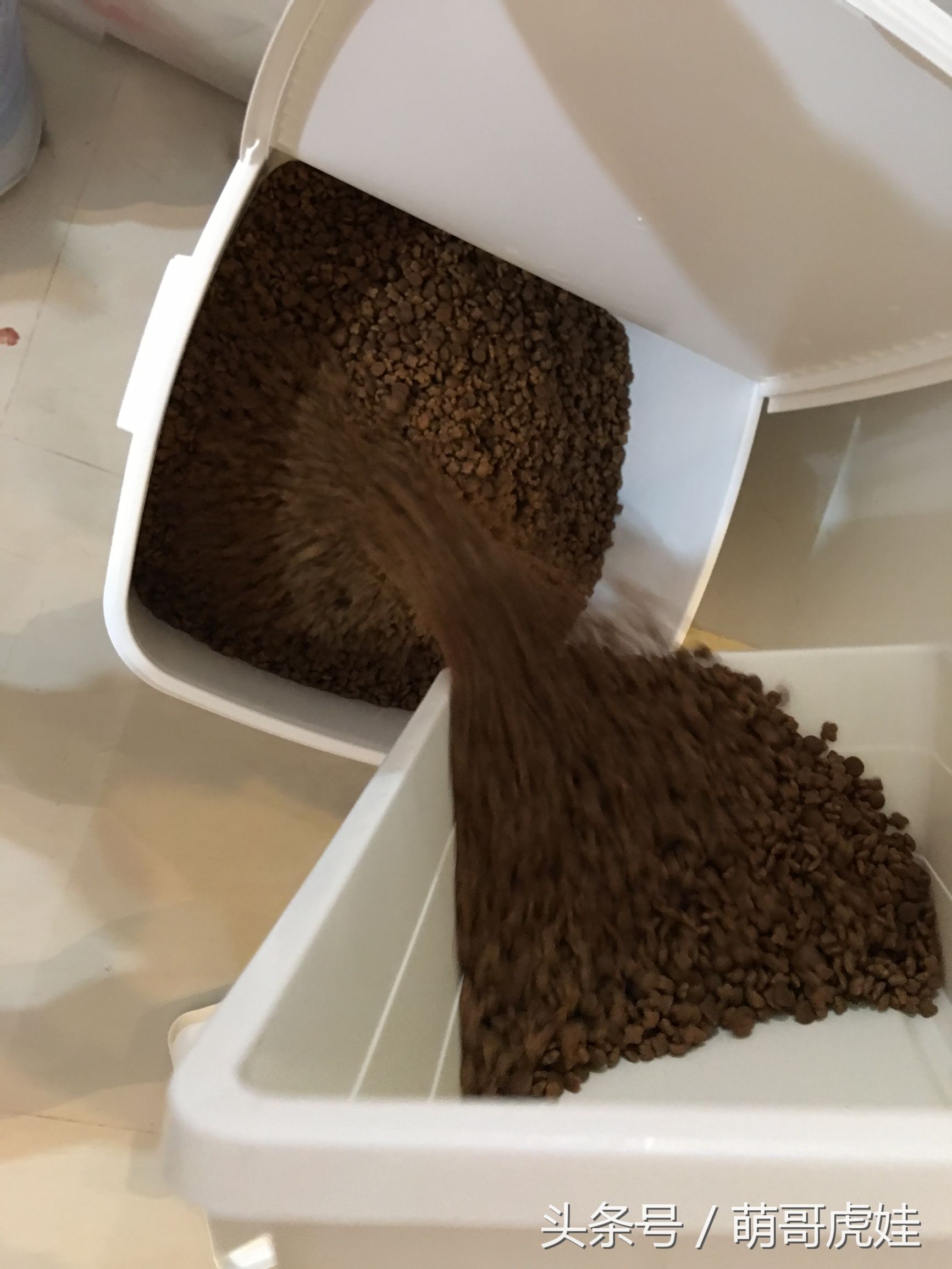 一铲屎猫咪就吃猫粮,猫咪铲屎官推荐猫粮