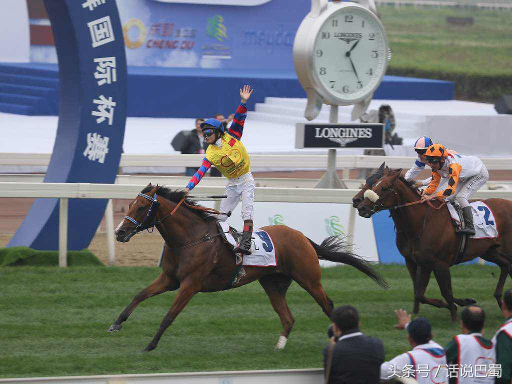 成都迪拜国际杯赛马今日举行中国骑师王文勋首战告捷