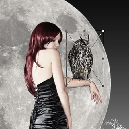 Photoshop设计梦幻边框的详细流程,photoshop项目式教程