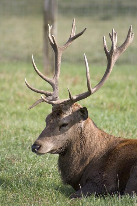 Photoshop设计梦幻边框的详细流程,photoshop项目式教程