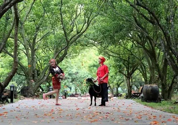 海口游玩攻略必去景点,海口旅游日常攻略大全最新