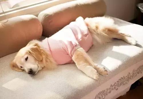 千呼万唤始出来的防晒合集,干货满满带你全方面了解防晒