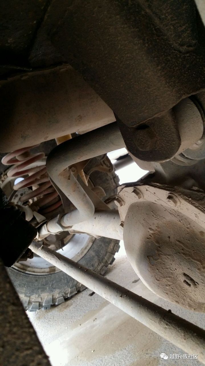 陪伴是最长情的告白——我和切诺基的故事