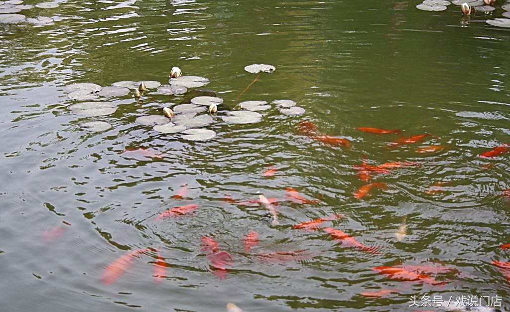 实体店，在别人的鱼塘里捞鱼，才是异业合作的真谛