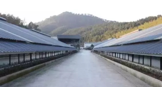 造吗、人家养的猪都做成理财产品了，你还在傻傻卖猪肉