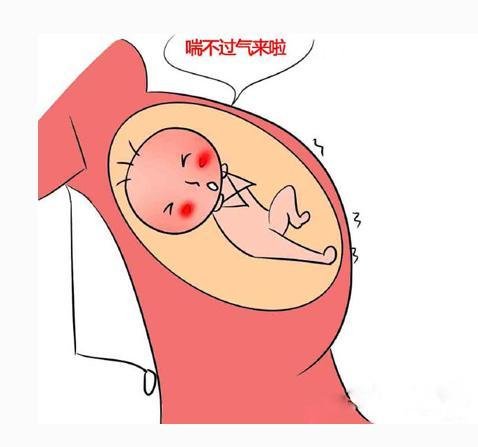 孕期10大报警信号预示母婴健康,孕期这五种症状表示胎儿很好