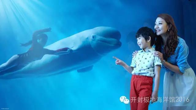 下雨适合去极地海洋世界玩吗,下雨天极地海洋世界