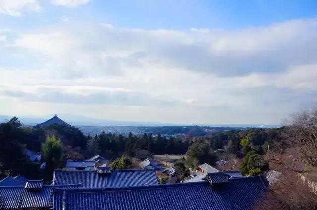 日本奈良看小鹿,日本奈良看小鹿视频