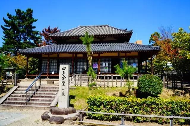 日本奈良看小鹿,日本奈良看小鹿视频