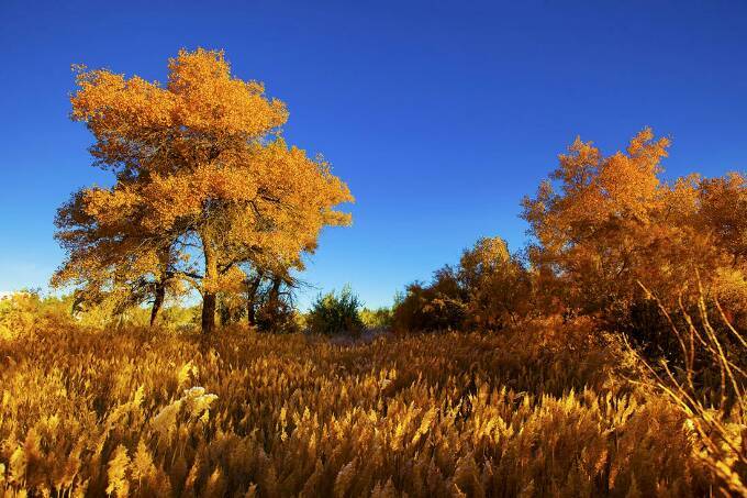 媒体探秘东风航天城,中国东风航天城