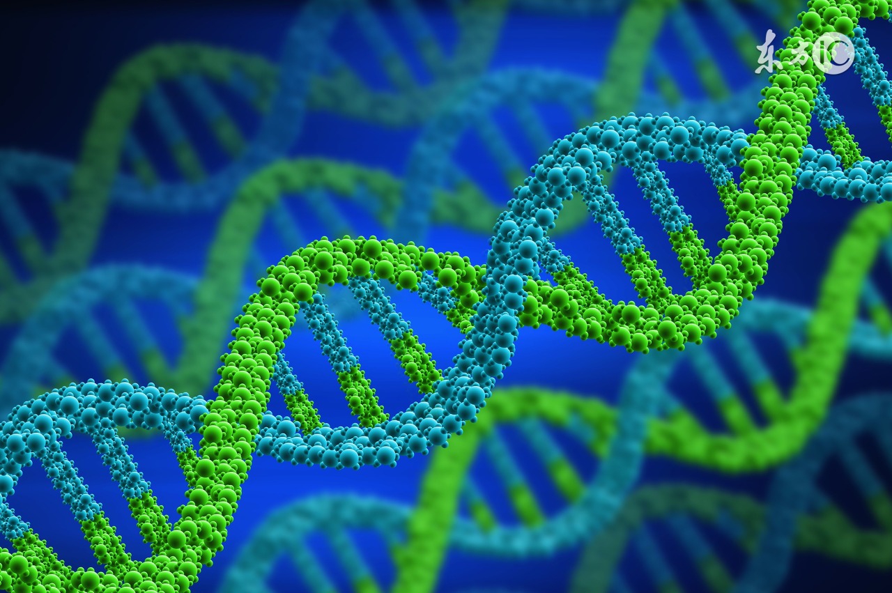 宫颈癌有基因突变可以靶向治疗吗,基因靶向治疗宫颈癌