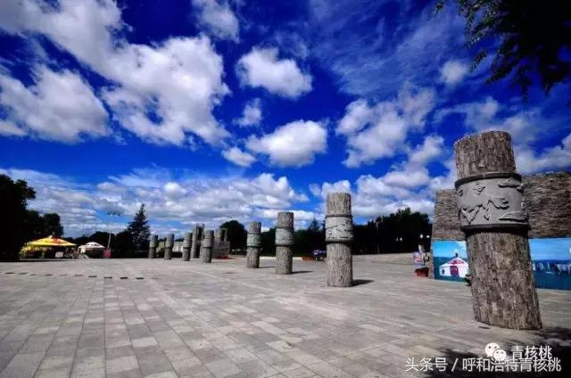 清明陵园交通管制最新,清明墓区交通管制