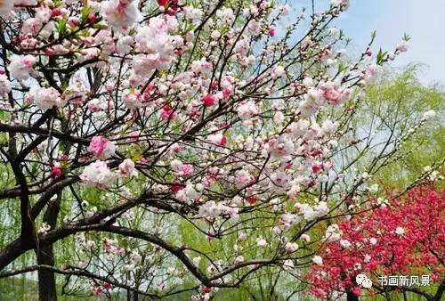 踏青的优美古诗词名句经典,描写春天出游踏青的古诗词