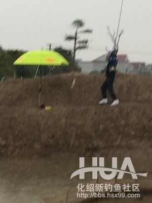 最新黑坑鱼竿测评,黑坑测试鲫鱼3.6米鱼竿推荐