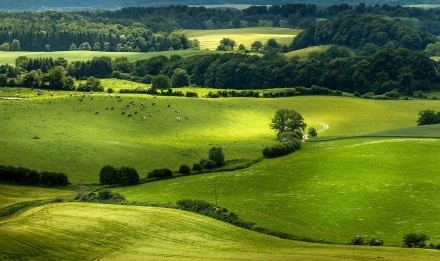伤寒论中的下利证,伤寒论中补充津液的经方
