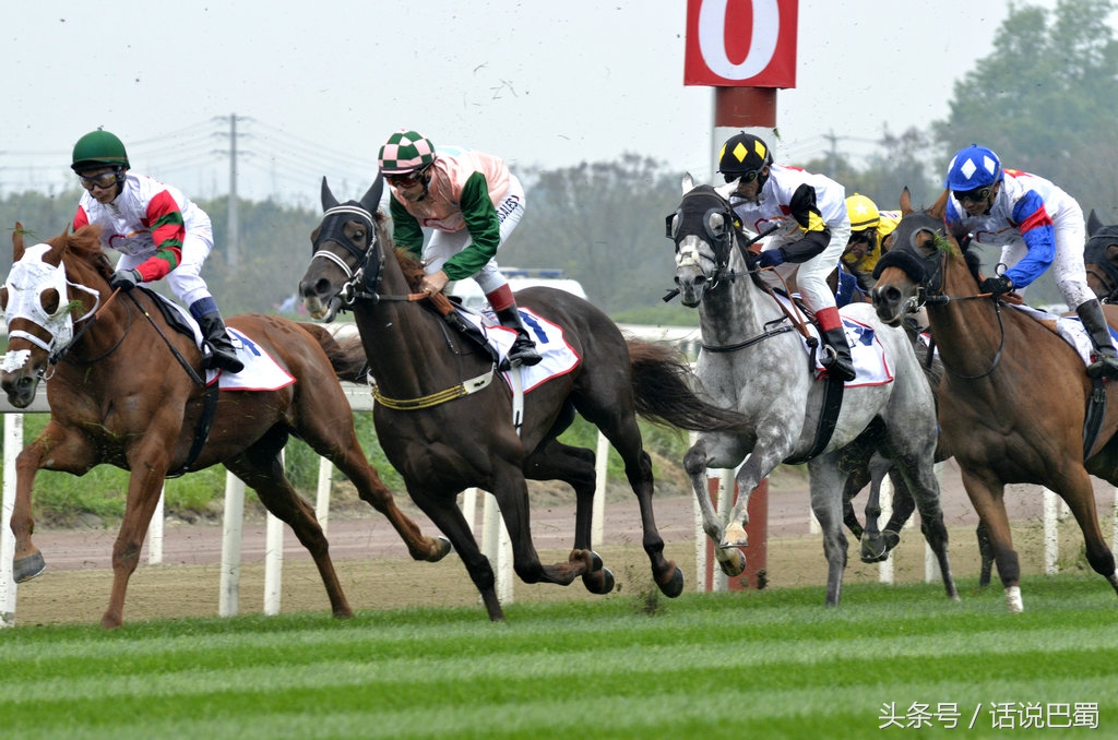 成都迪拜国际杯赛马今日举行中国骑师王文勋首战告捷