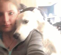 狐狸精平常表示什么,狐狸精是夸人还是骂人的