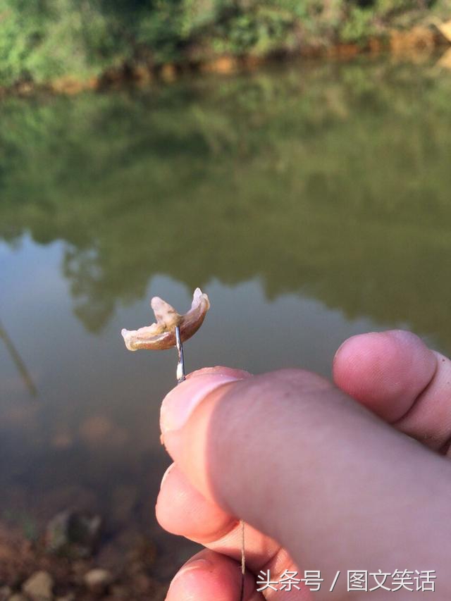 图文笑话:大哥,你拿二手戒指向我求婚,这婚我不结了