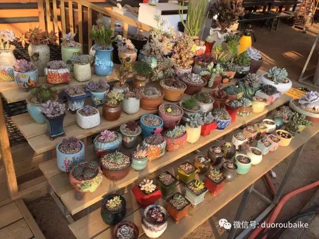 一入肉坑深似海下一句,一入肉坑深似海