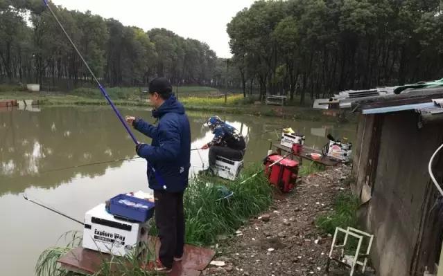 黑坑盛宴完整版,黑坑盛宴分解