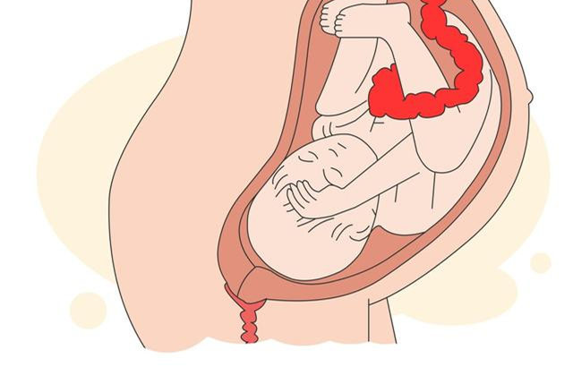 孕妇必知的胎儿每月发育日程,孕期1月到10月胎儿发育全过程